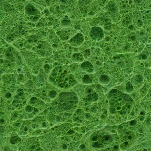 Matter and It's Nature Chemistry Notes class 11